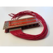 Battery Management System (BMS)