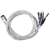 PM J1 Cable